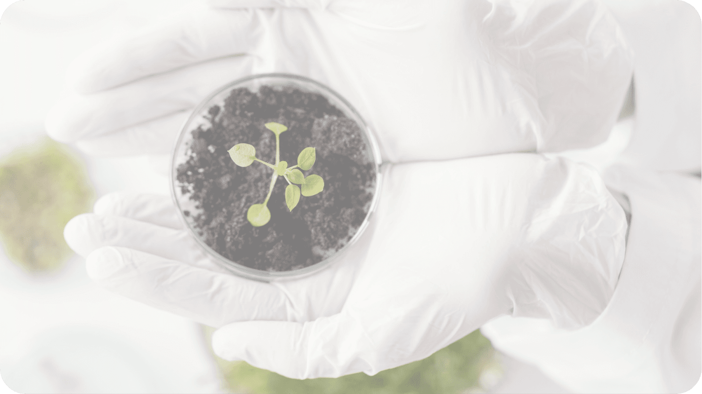Agrochemicals